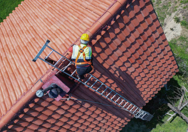 Best Storm Damage Roof Repair  in Jacksonville, AL